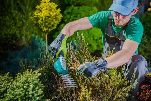 landscaping services Pickerington